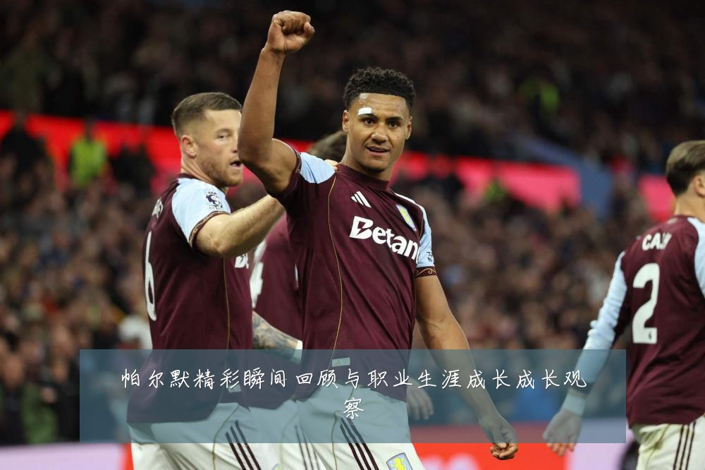 帕尔默精彩瞬间回顾与职业生涯成长成长观察