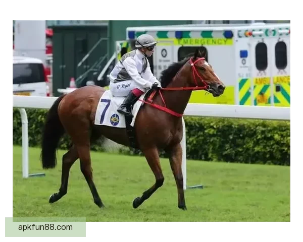 坚持训练无惧出丑，勇敢走上赛场就是胜利